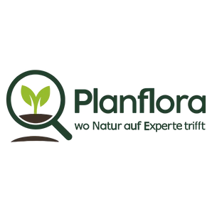 Planflora