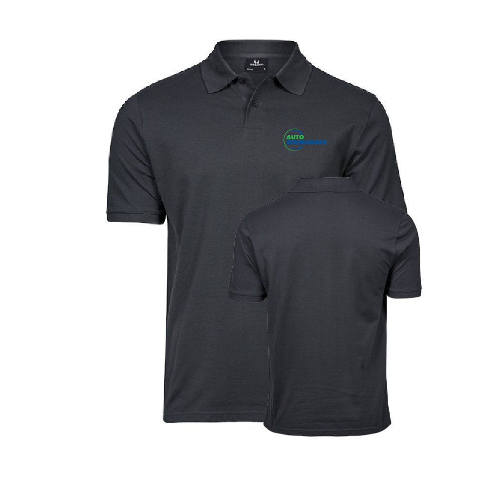 Auto Schmieders Polo