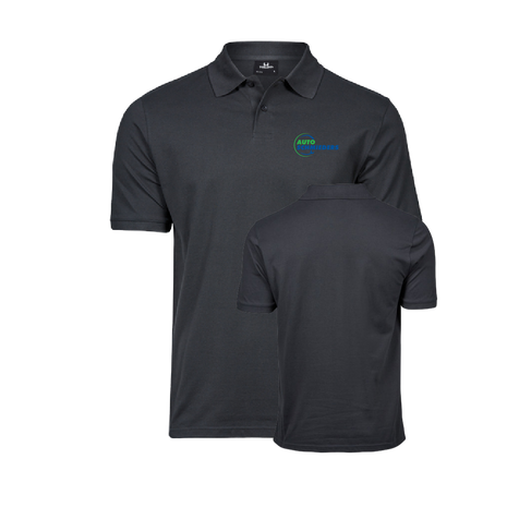 Auto Schmieders Polo