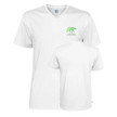 Color Bear T-Shirt Texet Variante 3